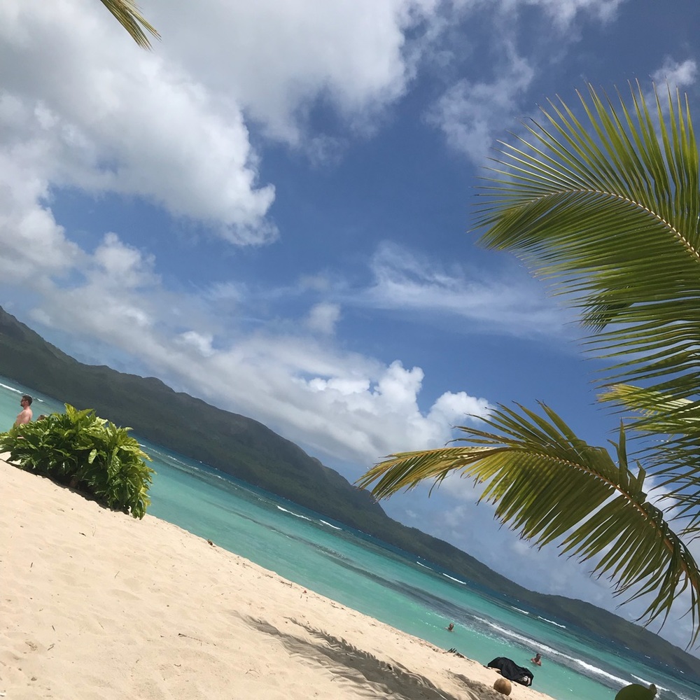 Meet your Posher, Karina